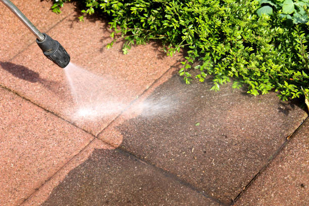 Best Roof Pressure Washing  in Greenbelt, MD